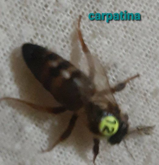 Behold the splendour of the Amalfi coast